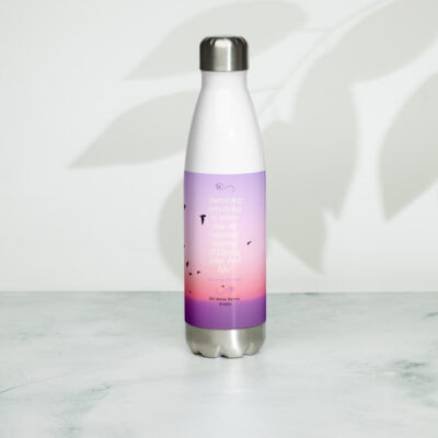 I will soar quote Stainless Steel Water Bottle