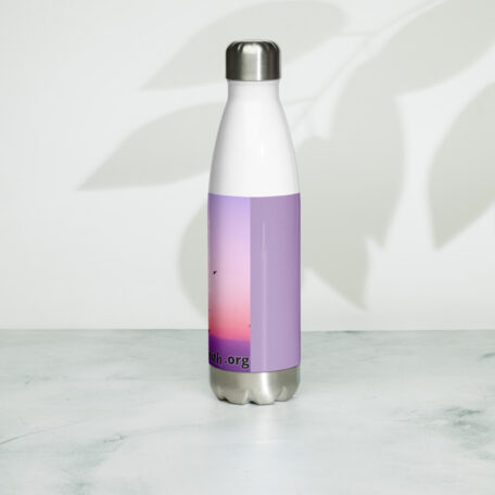 stainless-steel-water-bottle-white-17oz-left-60c95b6d54937.jpg